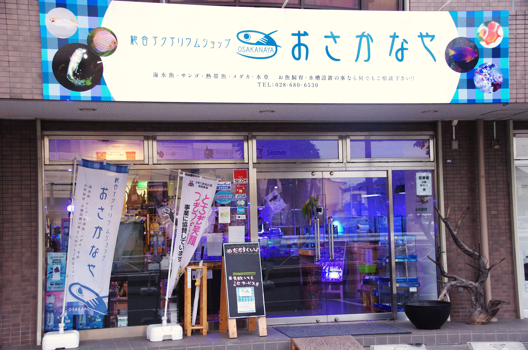 栃木県 熱帯魚の専門店 販売店 一覧 熱帯魚専門のアクアショップ情報ならaqua Mart